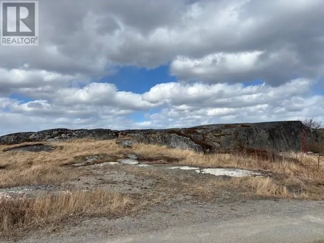 31 Brookfield Road, New Wes Valley, Newfoundland & Labrador A0G4R0