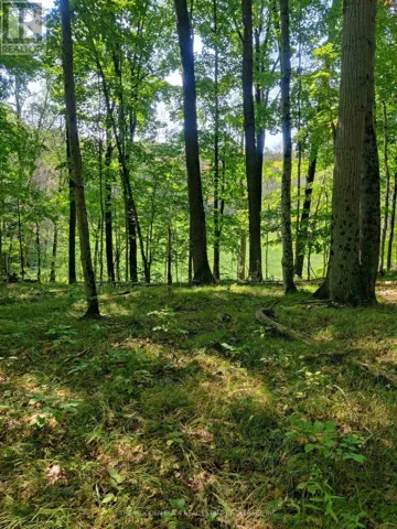 0EAST2 ROAD ALLOWANCE ROAD, Havelock-Belmont-Methuen (Belmont-Methuen), Ontario K0L1Z0