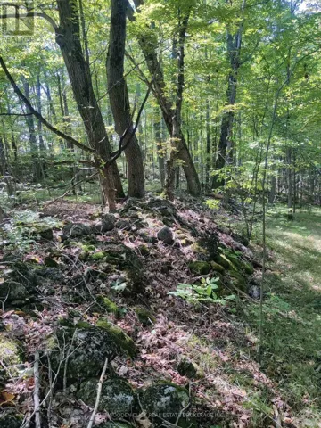 0WEST ROAD ALLOWANCE ROAD, Havelock-Belmont-Methuen (Belmont-Methuen), Ontario K0L1Z0