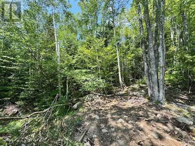 5 St Joseph Street, Labelle, Nova Scotia B0T1E0