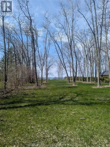 V/L OLD VINE ROAD, Pelee Island, Ontario N0R1M0