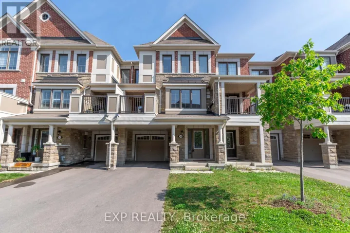 50 CASELY AVENUE, Richmond Hill, Ontario L4S0K3
