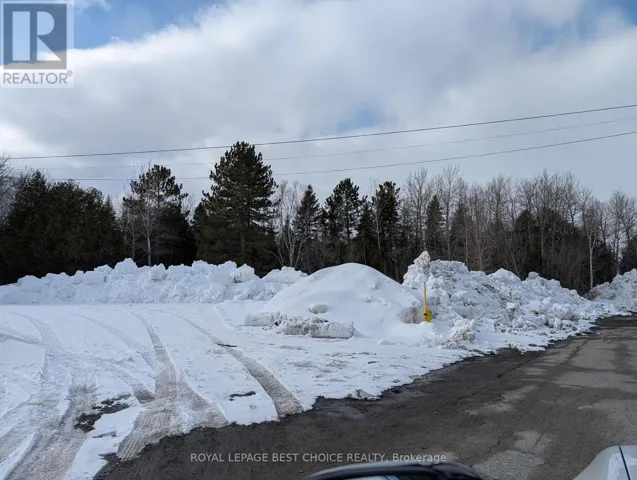 32 PYRITE STREET N, Cobalt, Ontario P0J1C0