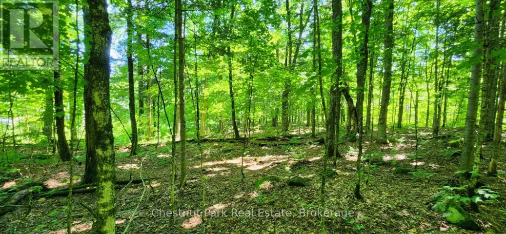 0 SKYLINE DRIVE, Armour, Ontario P0A1C0