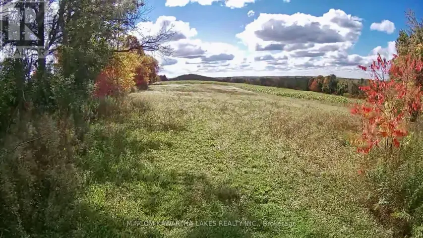 PL 15 BASE LINE, Otonabee-South Monaghan, Ontario K0L2G0