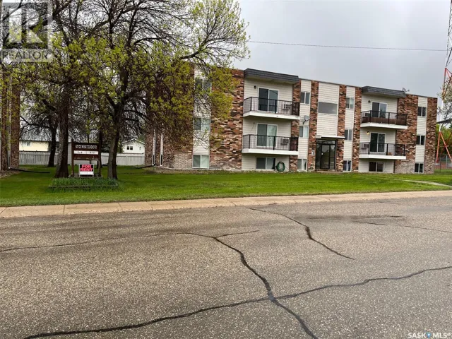 317 - 319 8th AVENUE SW, Biggar, Saskatchewan S0K0M0