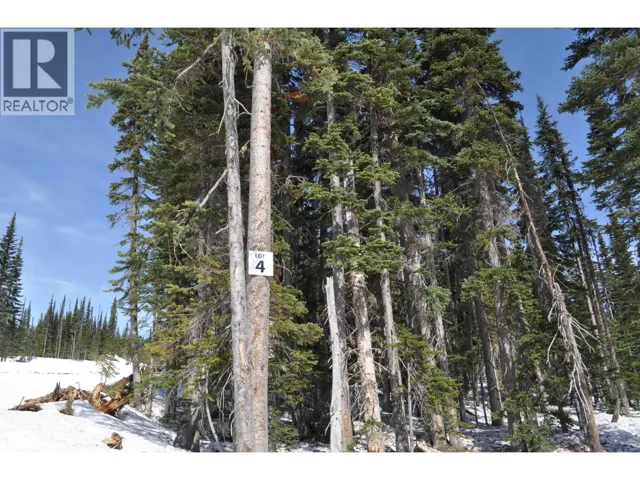 Pr. St. ALPINE WAY, Smithers, British Columbia V0J2N0