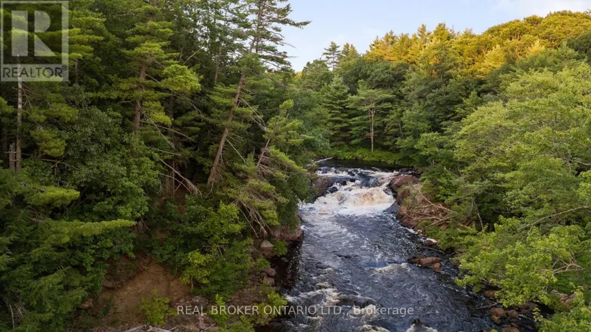 1401 COOPERS FALLS ROAD, Ramara, Ontario L0K2B0