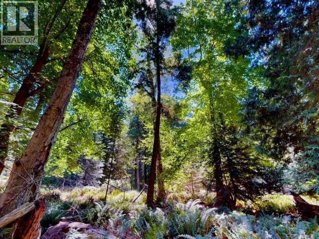 1394 VANCOUVER BLVD, Savary Island, British Columbia None