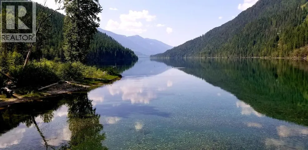 Sawczuk Road Lot# 19, Trout Lake, British Columbia V0G1R2