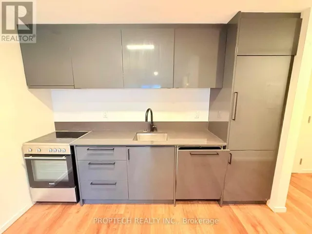 205 - 377 BROADVIEW AVENUE, Toronto (North Riverdale), Ontario M4K2M7