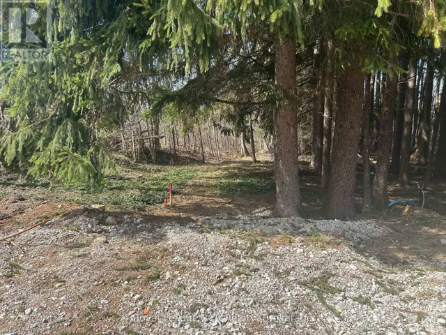 PTLT9-10 MCNAUGHTON STREET, South Bruce Peninsula, Ontario N0H2T0