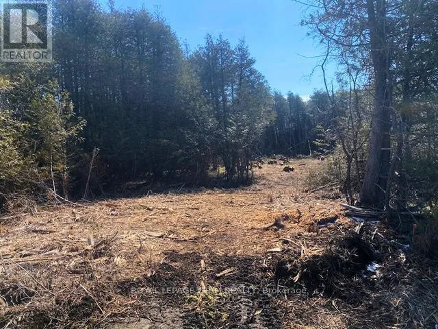 LT 3 ARMSTRONG ROAD, Merrickville-Wolford, Ontario K0G1N0