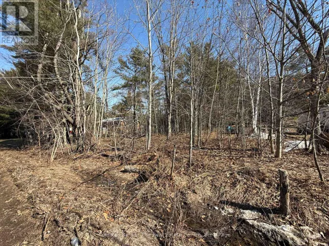 VACANT LOT PINEDALE ROAD, Gravenhurst (Muskoka (S)), Ontario P1P1L5