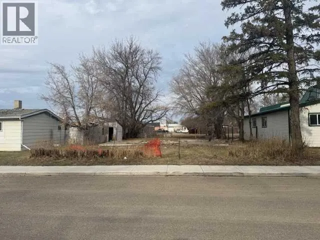 207 Centre Street, Brooks, Alberta T1R0R9