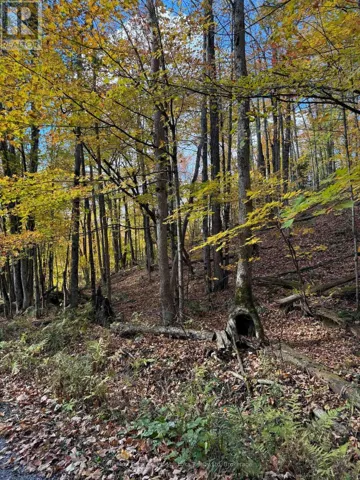 353C BALSAM CREEK ROAD, Parry Sound Remote Area (McConkey), Ontario P0H1S0