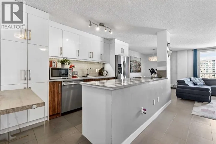 802, 1213 13 Avenue SW, Calgary, Alberta T3C0T2