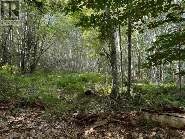 2553 Morse Road, Bridgetown, Nova Scotia B0S1C0