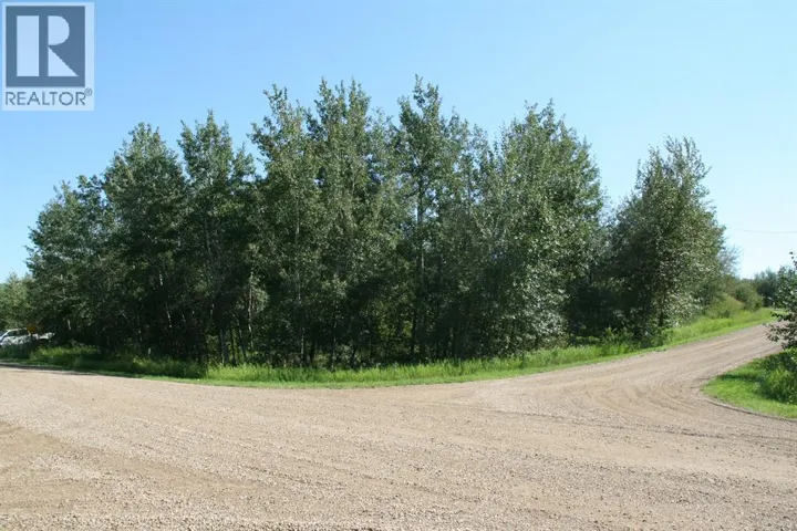 7 Buffalo Drive, Rural Stettler No. 6, County of, Alberta T0C1G0