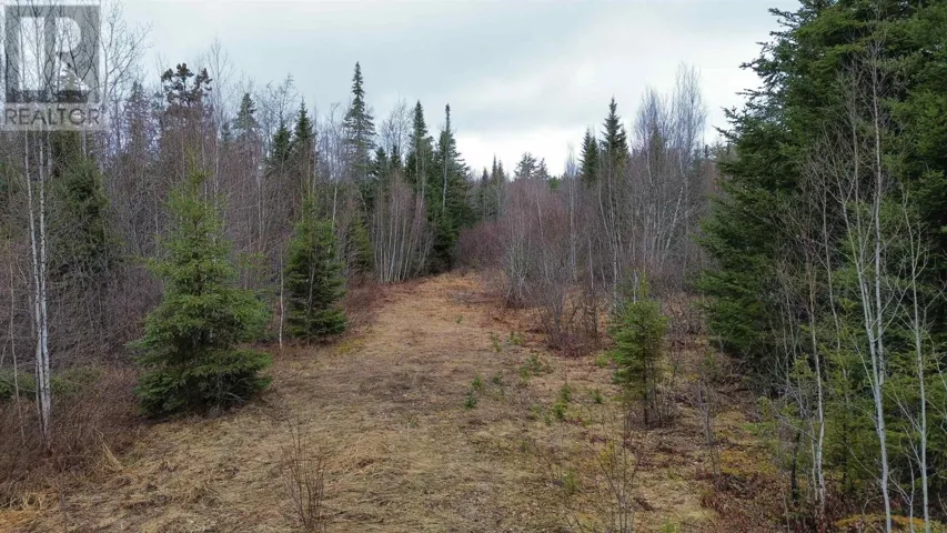 V/L 204 Highway, Birchwood, Nova Scotia B0M1P0