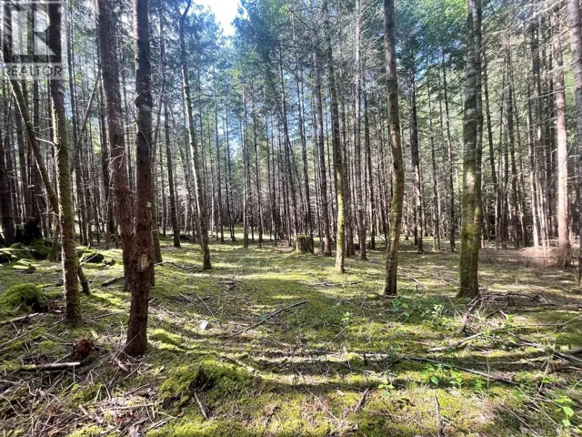 1840 Seymour Rd, Gabriola Island, British Columbia V0R1X6