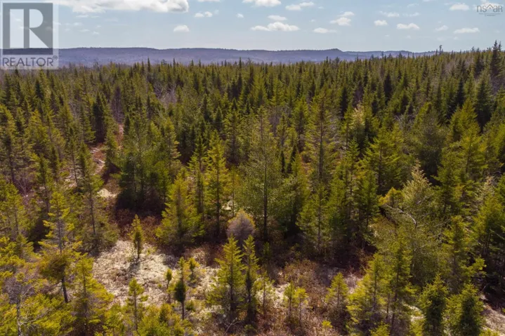 Lot 4 The Grant Preserve, Musquodoboit River, Nova Scotia B0V1V0