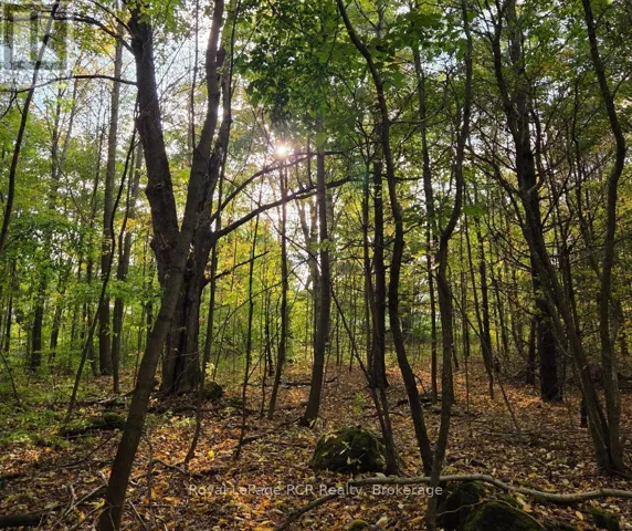 N/A SIMPSON, Grey Highlands, Ontario N0C1E0