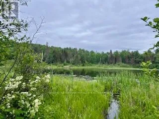 LOT 5 GEORGES ROAD, Bonfield, Ontario P0H1E0