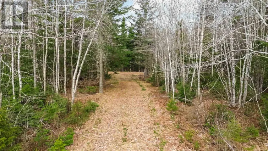 Parcel J Aylesford Road, Lake Paul, Nova Scotia B0P1C0