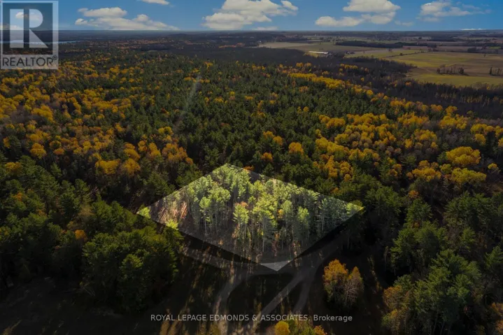 100 NANGOR TRAIL, Whitewater Region, Ontario K0J2L0