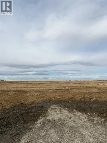 W 4 Range 25 Twp 24 Section 35 NE, Rural Wheatland County, Alberta T1P0J1