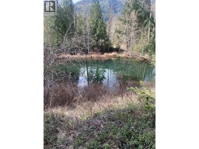 Kittyhawk Road Lot# Lot B, Kitchener, British Columbia V0B1W1