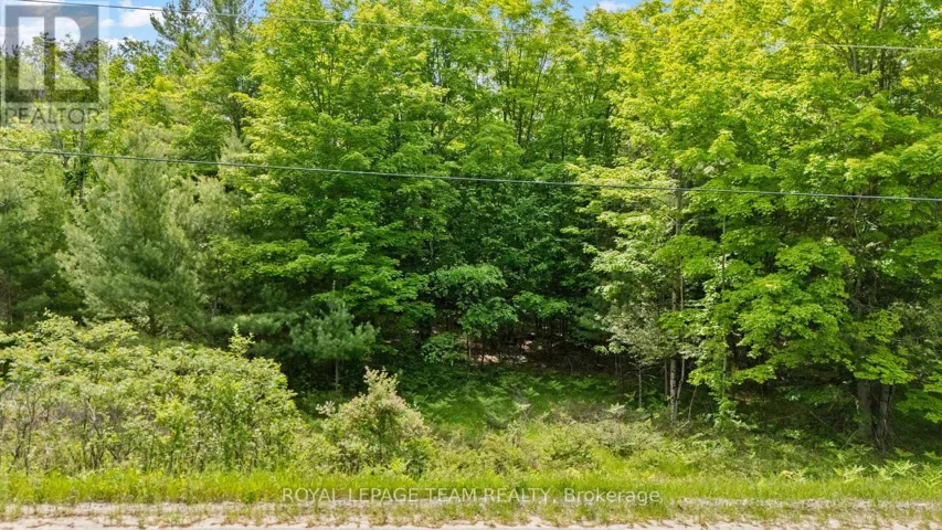 00 MAPLE STREET, Lanark Highlands, Ontario K0G1M0