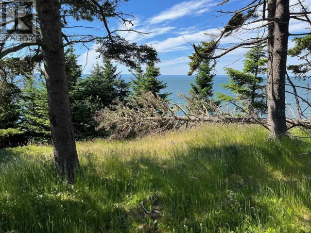 8208 Highway 209, Wards Brook, Nova Scotia B0M1S0