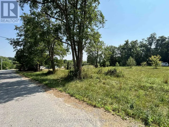 19 BRIDGE STREET, Tyendinaga (Tyendinaga Township), Ontario K0K2N0