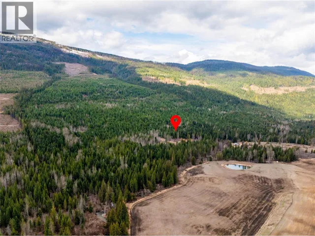 2410 Trinity Valley Road, Enderby, British Columbia V0E1V5