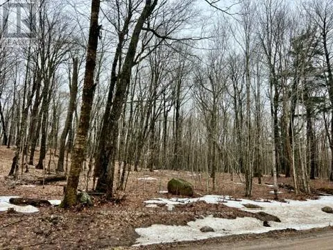 0 15TH/16TH SIDE ROAD, Magnetawan, Ontario P0A1P0