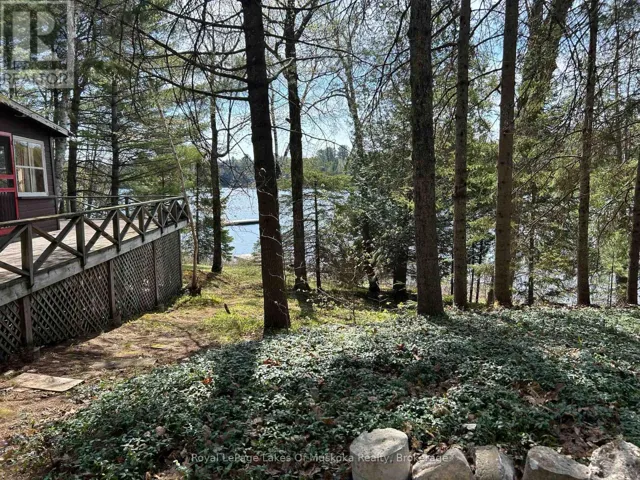 1091 NORTH TOOKE LAKE ROAD, Lake of Bays (Mclean), Ontario P0B1A0