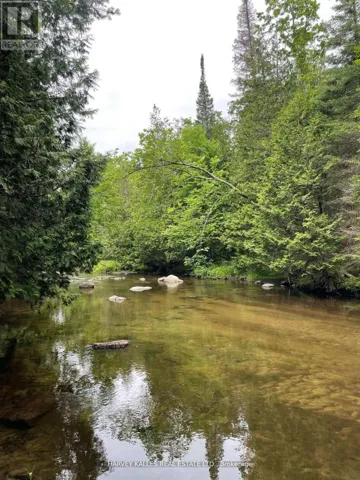 79 GUMMOW ROAD, Trent Hills (Warkworth), Ontario K0K3K0