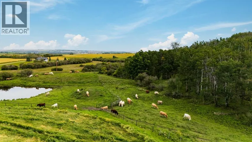 402 Avenue, Rural Foothills County, Alberta T1V2E0