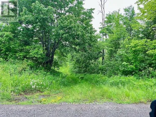 000 LASSWADE ROAD, North Kawartha, Ontario K0L1A0