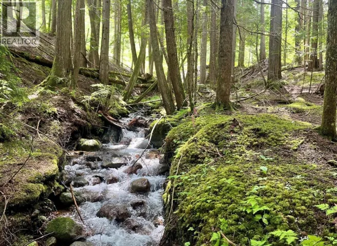 Lot 2 Red Mountain Road, Silverton, British Columbia V0G1S0