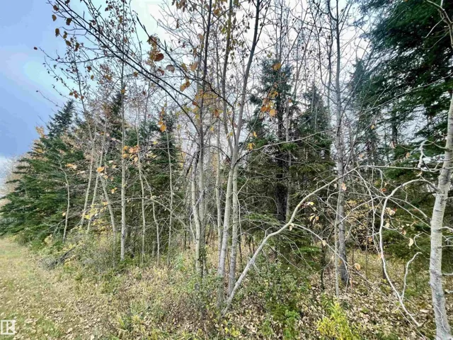 3 Pleasant Valley AC, Rural Wetaskiwin County, Alberta T0C2V0