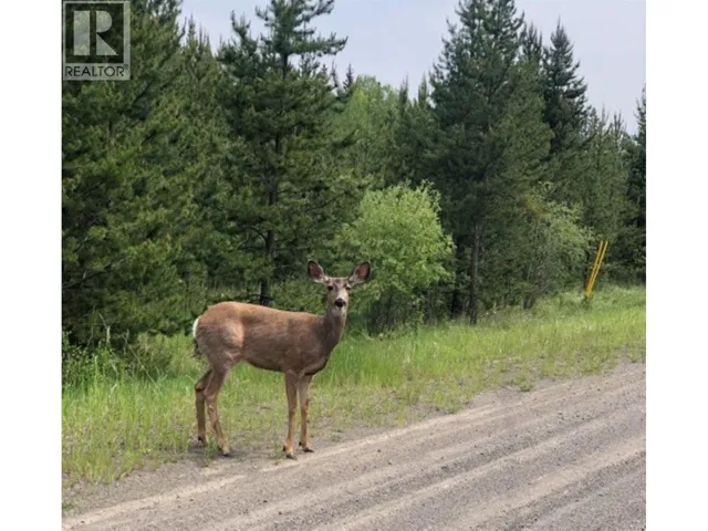 5916 LITTLE FORT 24 HIGHWAY, Lone Butte, British Columbia V0K1X1