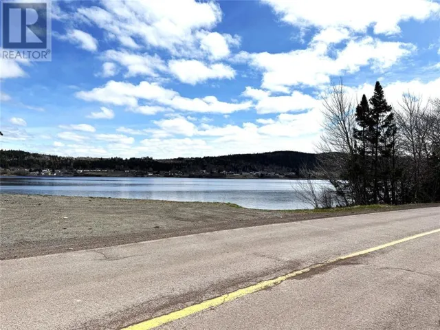 384 Main Street, Norris Arm North, Newfoundland & Labrador A0G3M0