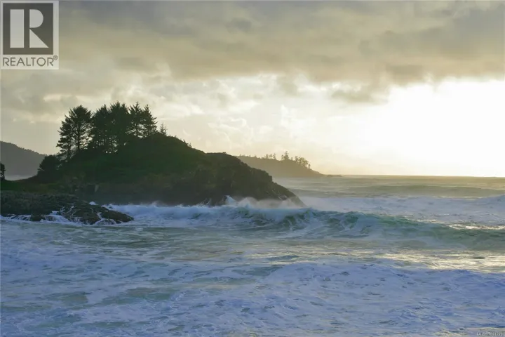 871 Moser Pl, Tofino, British Columbia V0R2Z0