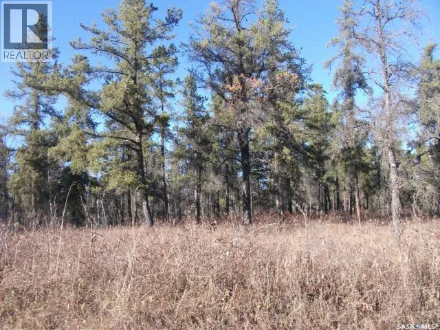 5-3 lot 1.20 Acres, Hudson Bay Rm No. 394, Saskatchewan S0E0Y0