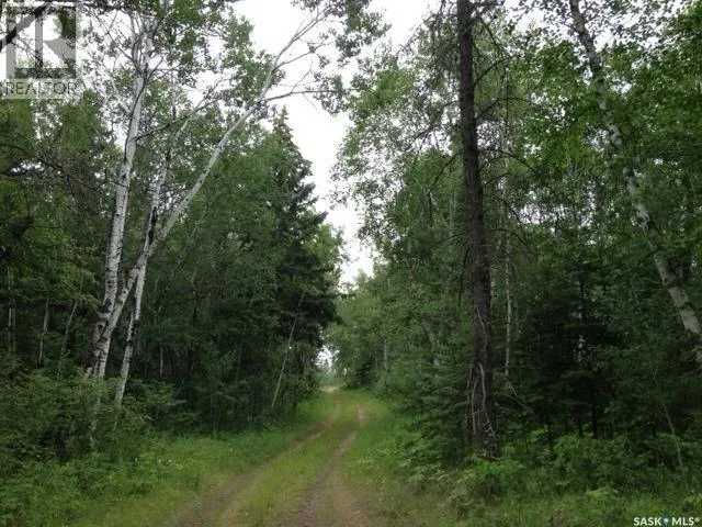 4-3 lot 1.20 acre, Hudson Bay Rm No. 394, Saskatchewan S0E0Y0