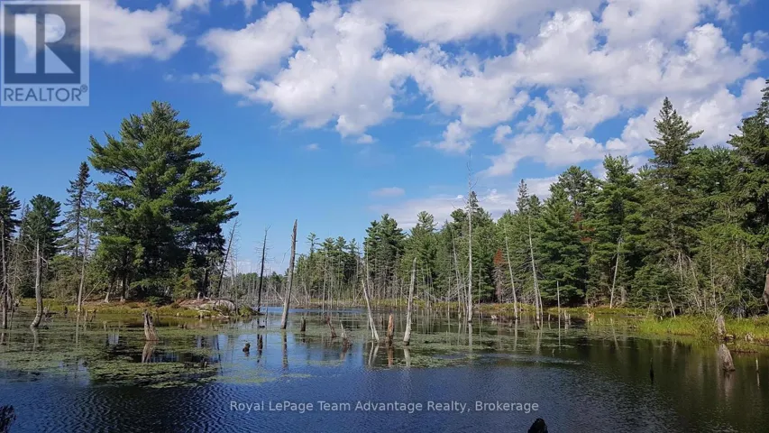 0 UNOPENED ROAD ALLOWANCE ROAD, McKellar, Ontario P2A2W7