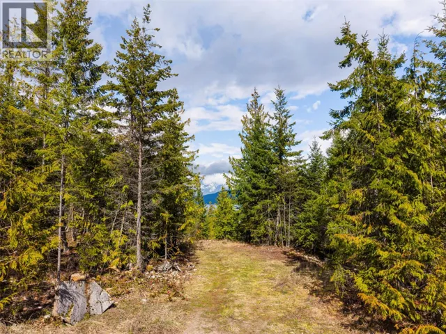 400 Lexington Avenue, Procter, British Columbia V0G1V0